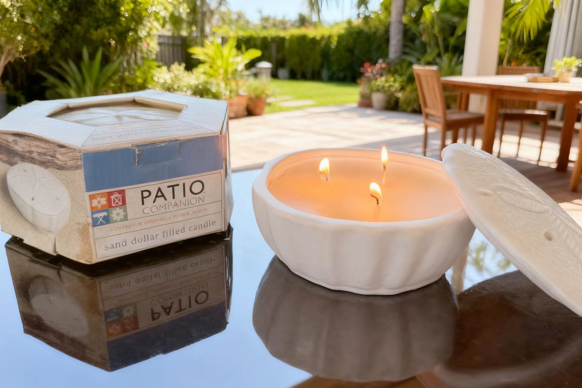 Ceramic Sand Dollar Jar Filled Candle